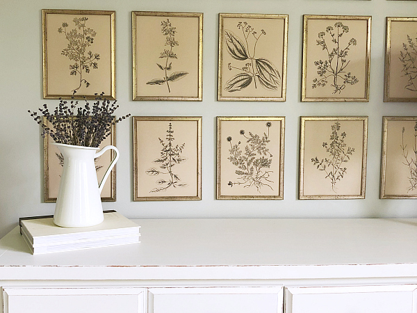 Botanical Gallery Wall