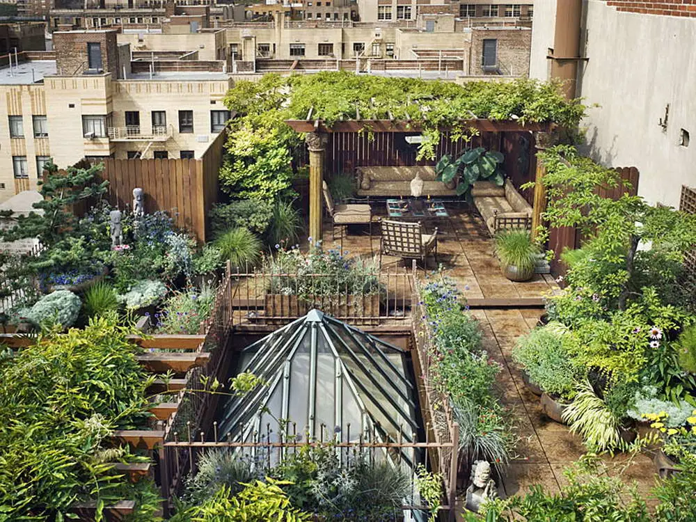 City Garden Balcony: Nature in the Urban Jungle