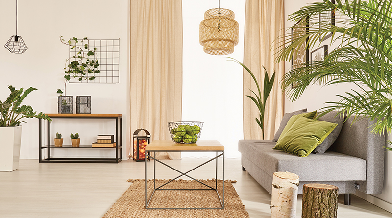 Natural Elements and Indoor Plants