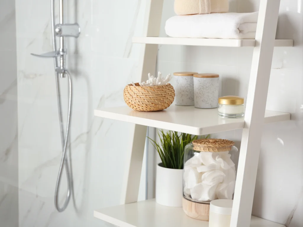 Shelving Ladder